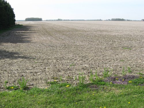 Property photo 29 - 172 Acres Offered in 3 Tracts - Prime Farmland